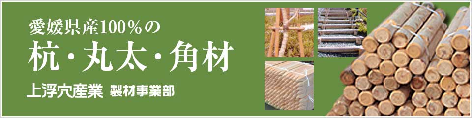 愛媛県産100％の杭・丸太・角材 上浮穴産業製材事業部