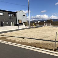 2号地西側より