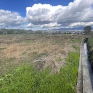 西野町　農地・資材置き場 画像4