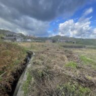 西野町　農地・資材置き場 画像7