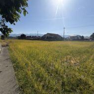 南高井町　農地 画像4