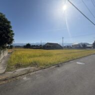 南高井町　農地 画像3